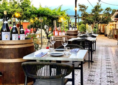 Winery Experience